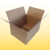 100 Karton 38,5 cm x 30 cm x 21 cm (LxBxH)